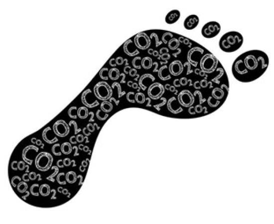 CARBON NEGATIVE? CARBON POSITIVIE? CLIMATE POSITIVE? WHAT AM I TRYING TO SAY? CARBON NEGATIVE? CARBON POSITIVIE? CLIMATE POSITIVE? WHAT AM I TRYING TO SAY?