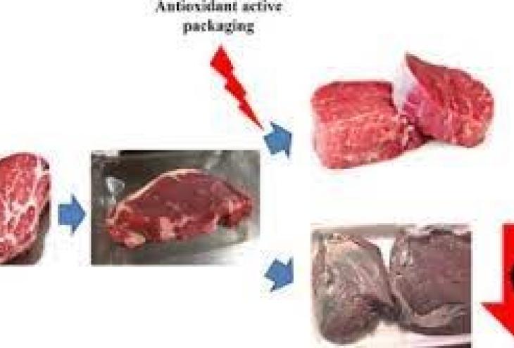 ACTIVE PACKAGING AND LONGER SHELF LIFE