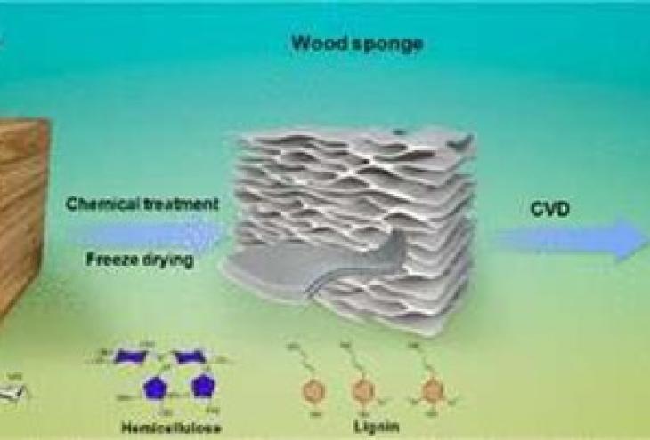 Wood sponge